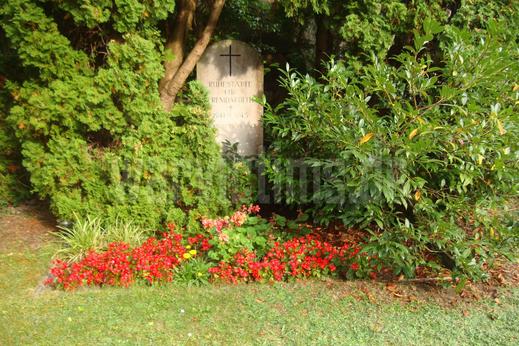 Blaubeuren+(Fremdarbeiter)